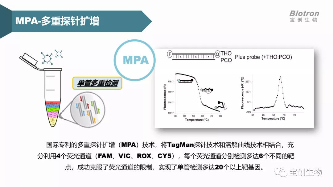 1628069114515391.jpg 640 (9)_看图王.web.jpg