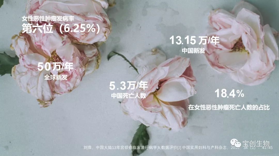 1628069237203755.jpg 640 (3)_看图王.web.jpg