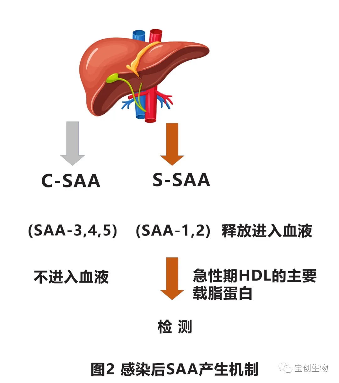640 (1)_看图王.web(1).jpg