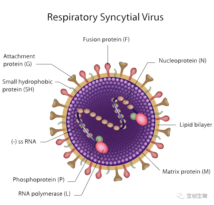 1628651619891188.png 640.png