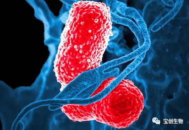 640 (14)_看图王.web.jpg