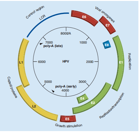 1638777404792774.png 图片1.png