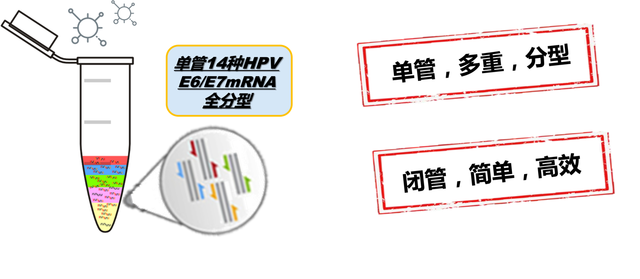 1638778055989730.png 图片3.png