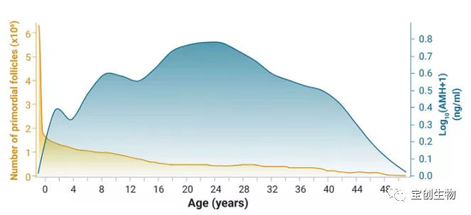 640 (24)_看图王.web.jpg