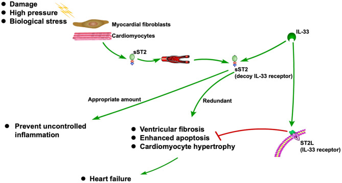 1639633770923246.jpg fcvm-08-697837-g0001.jpg