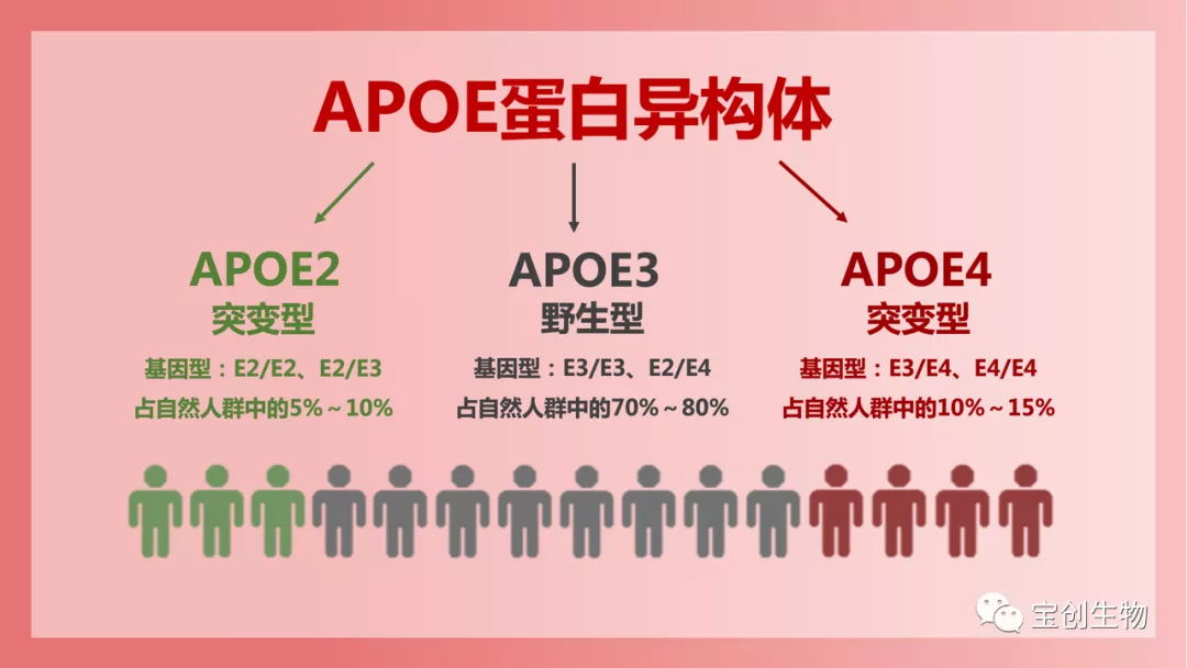 1642735867312453.jpg 640 (1)_看图王.web.jpg