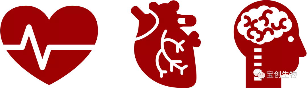 1642735957197472.jpg 640 (4)_看图王.web.jpg