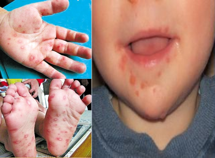 1656490787443442.png 640 (59).png