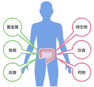 1656553791998982.png 640 (65).png