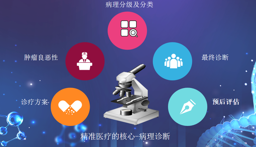 1669950320829910.png 精准医疗的核心.png