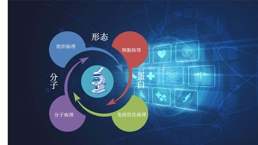 1669950698149105.png 分子形态.png