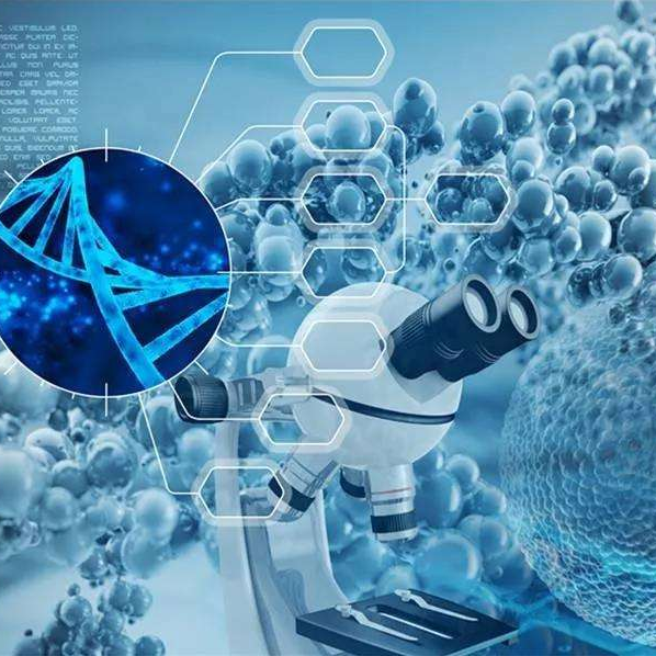 1669950747217783.png 病理.png