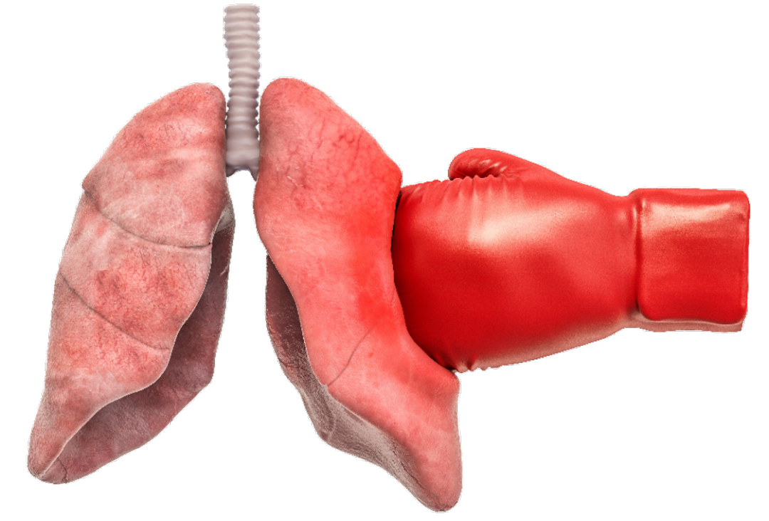 1688019419105359.png 16.png