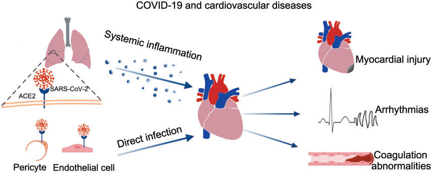 1688099796258577.png 640.png