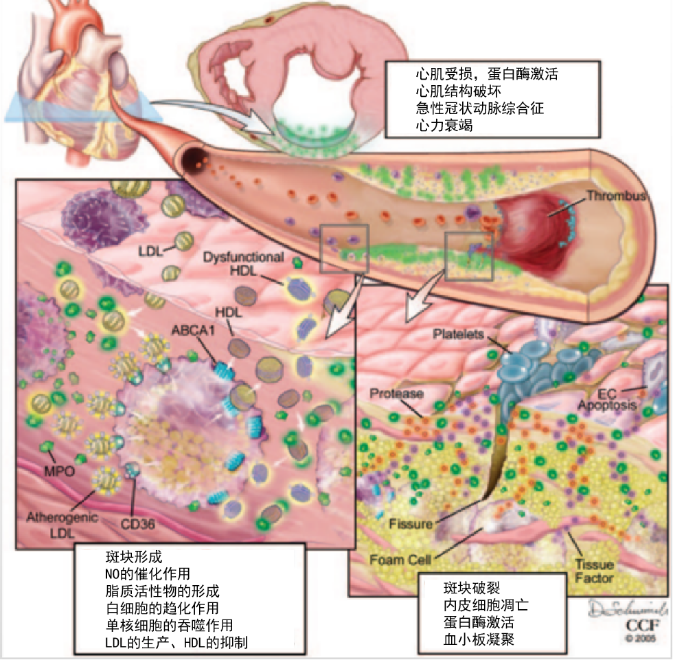 1688622354418311.png 640 (37).png