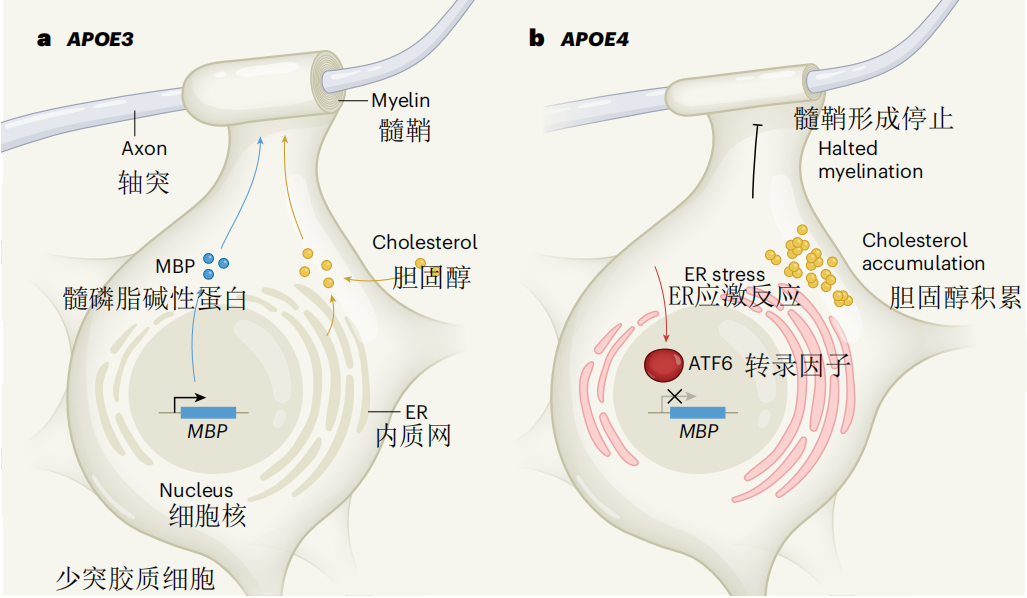 1688628924136823.png 640 (75).png