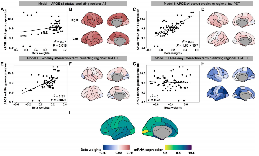 1688629154646724.png 640 (78).png