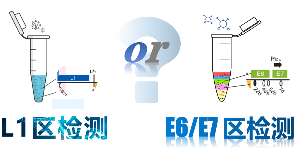 1689320907921009.png 640 (63).png