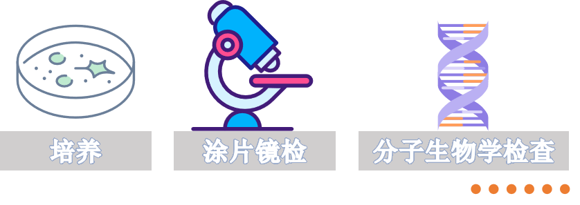 1693554060347954.png 640 (80).png