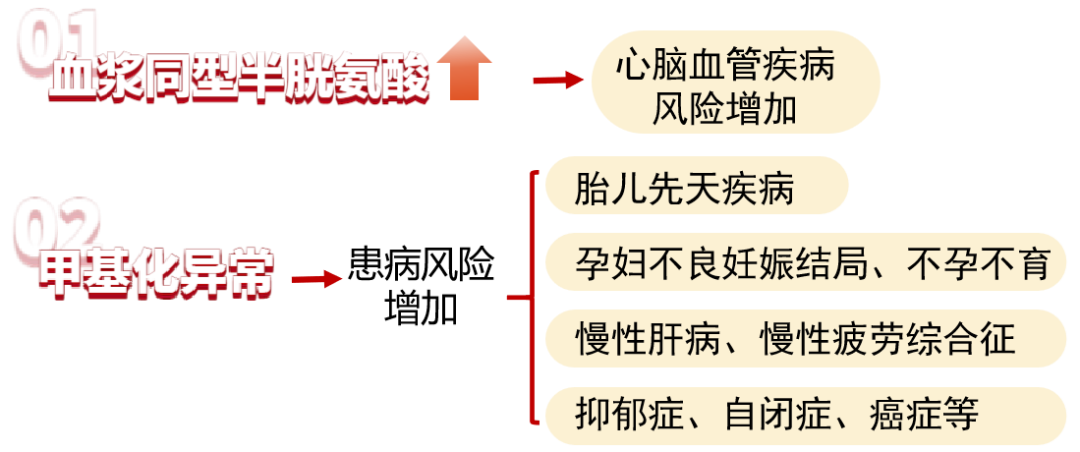 1706600962245152.png 640 (8).png