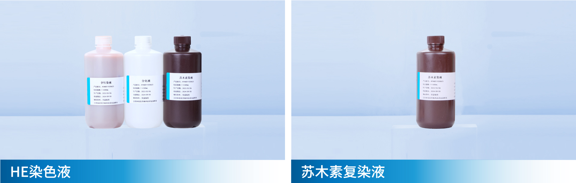 202606素材_画板 1 副本.jpg